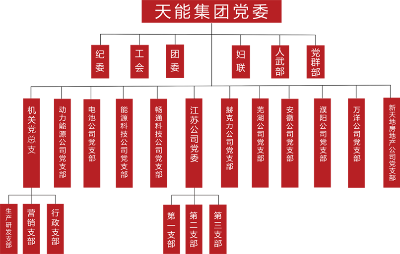 k8凯发天生赢家一触即发建团党委组织架构